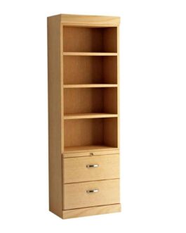 Bookcase with Lower Drawers