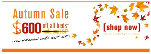 Read more about the article Autumn Sale 2009 Extended!